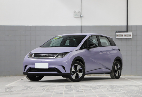 qualità  New Energy Vehicles Supplier BYD Dolphin 4 Metes Long Wheelbase 2700mm Fabbrica