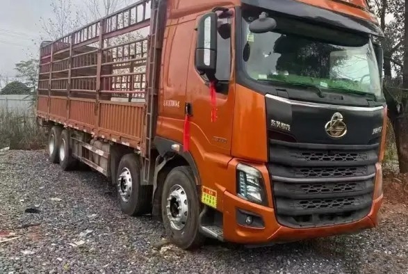 la seconda mano Lorry Orange Color 12 misura il camion con un contatore del carico dei cilindri 420hp 2021year Dongfeng del motore 6 di Yuchai del modo dell'azionamento 8×4