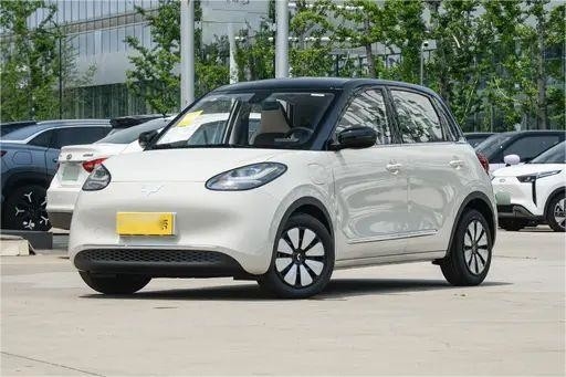 Veicoli a nuova energia di seconda mano Wuling Bingo Light Coffee Color 333KM Modello