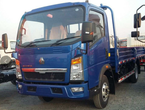 3 tonnellate Lunghezza del camion Cisterna di carico Howo 4*2 Flat Box Camion Camion monocabina RHD Euro 2