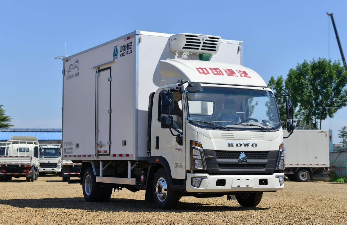 Camion frigorifero in vendita Sinotruck Howo 4*2 monoasse Camion frigorifero furgone Box 20 Cubic