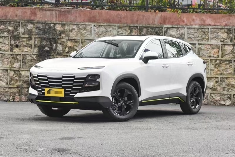 Nuova Chery Jetour Dasheng 2025 Anno 4WD Benzina Auto Resistente Potente Auto Ideale Con Colore Personalizzato