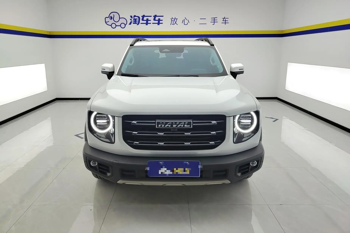 Haval Big Dog 2021 1.5T 2WD Border Collie Edition in vendita - 2WD, lusso, uso familiare