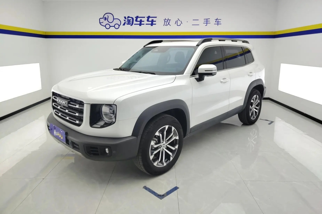 Haval Big Dog 2021 1.5T 2WD Border Collie Edition in vendita - 2WD, lusso, uso familiare