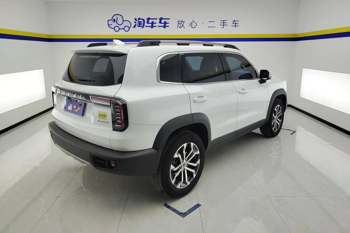 Haval Big Dog 2021 1.5T 2WD Border Collie Edition in vendita - 2WD, lusso, uso familiare
