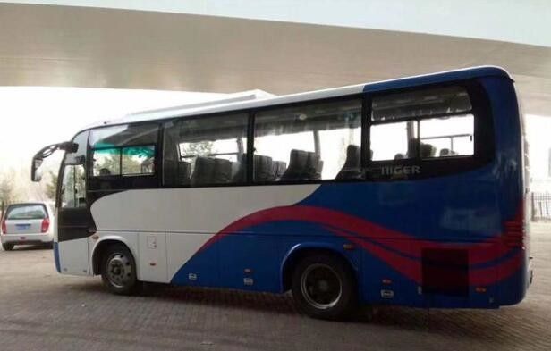 33 vettura di passeggero utilizzata sedili del motore di marca YC del bus di giro più alta Bus