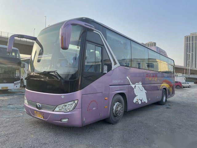 Ritardatore utilizzato dei sedili delle doppie porte 47 del telaio dell'airbag del motore del bus ZK6119 CNG WP.270 di Yutong